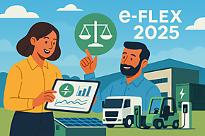 Subsidie voor flexibel elektriciteitsverbruik: (Flex-e)